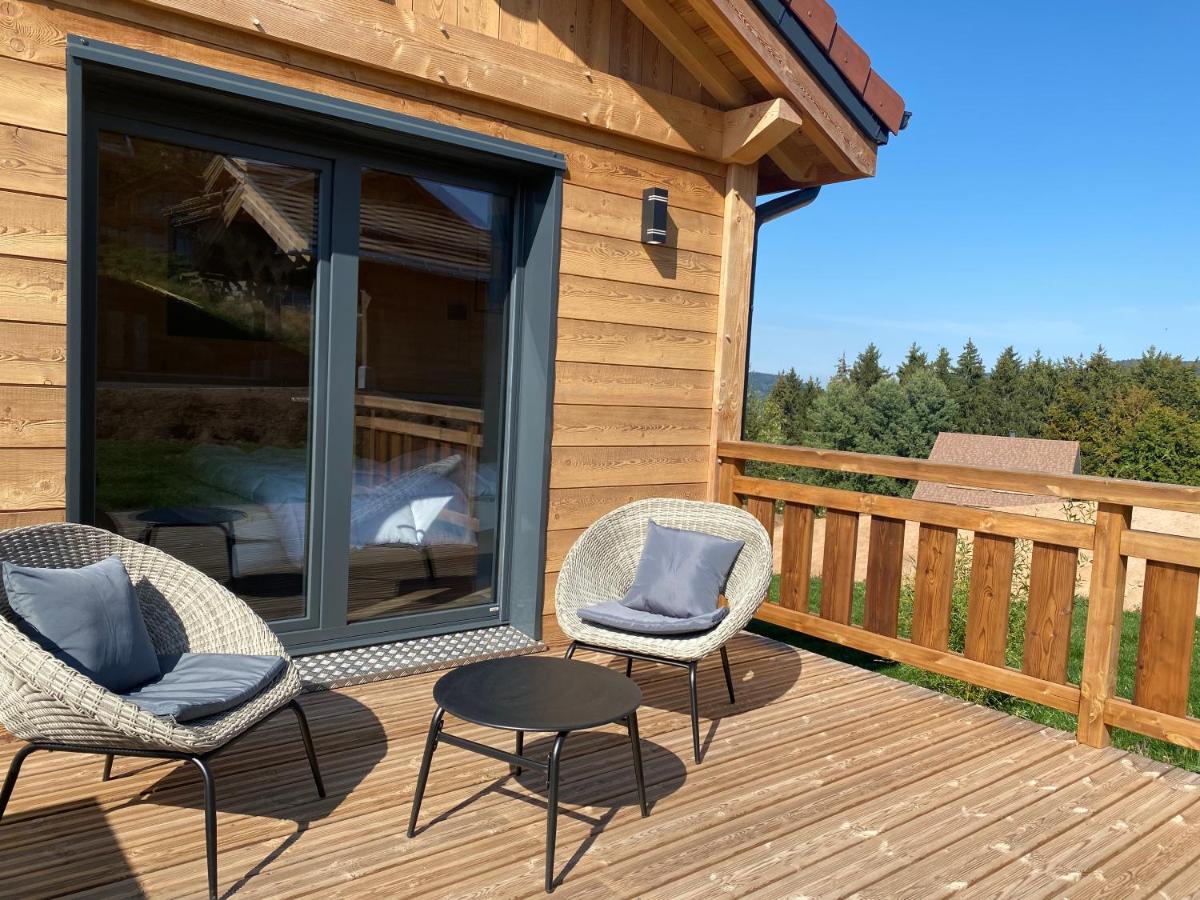 L'Adret Du Temps Chalet 10 Personnes 170M2 Gerardmer Exterior photo